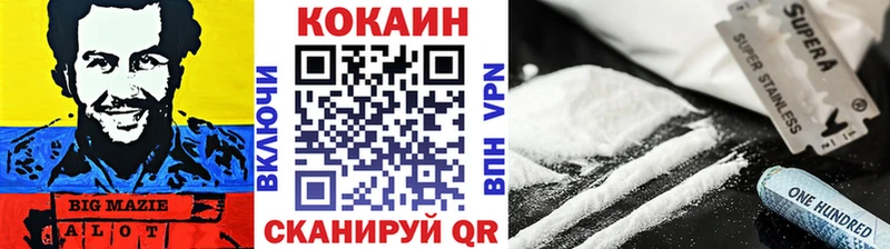Купить где  Суджа  Кокаин Fish Scale 