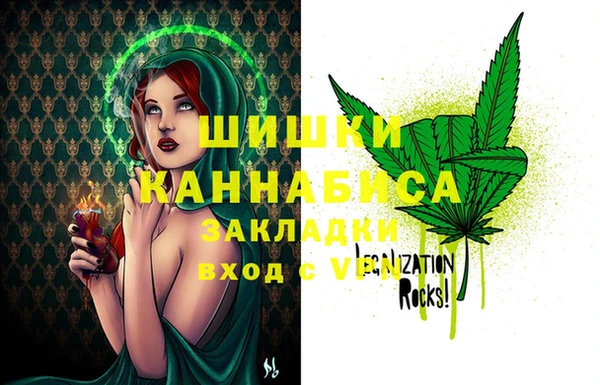 apvp Ельня