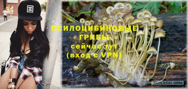 гашик Заводоуковск