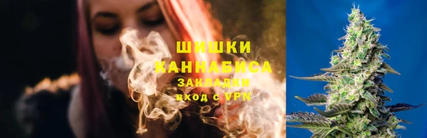 apvp Ельня