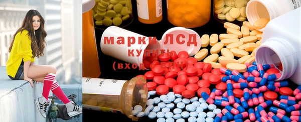 apvp Ельня
