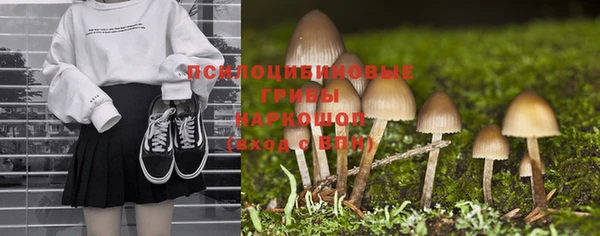 гашик Заводоуковск
